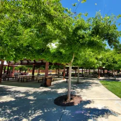 Veterans Park - Brentwood