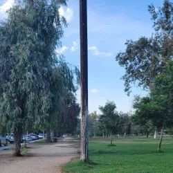 Magnolia Park - Burbank