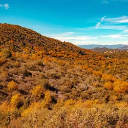 Desert View Park - Calipatria