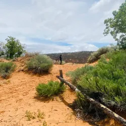 Imperial Sand Dunes Recreation Area - Calipatria