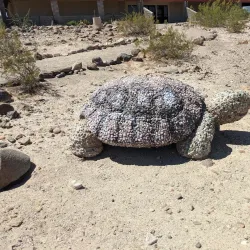 Imperial Valley Desert Museum - Calipatria