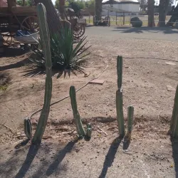 Imperial Valley Pioneers Museum - Calipatria