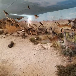 Imperial Valley Pioneers Museum - Calipatria