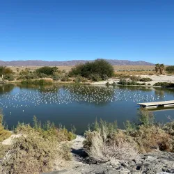 Salton Sea State Recreation Area - Calipatria