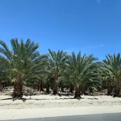 San Andreas Fault Viewing Area - Calipatria