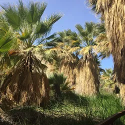 San Andreas Fault Viewing Area - Calipatria