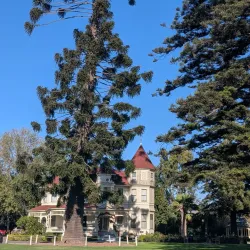 Adolfo Camarillo House - Camarillo