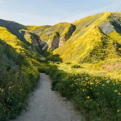 Arroyo Verde Park - Camarillo