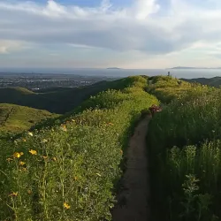 Arroyo Verde Park - Camarillo