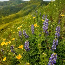 Arroyo Verde Park - Camarillo