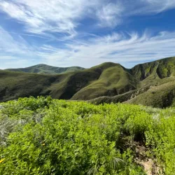 Arroyo Verde Park - Camarillo