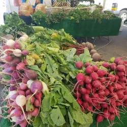 Camarillo Farmers Market - Camarillo