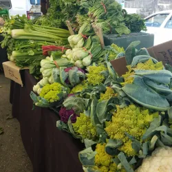 Camarillo Farmers Market - Camarillo
