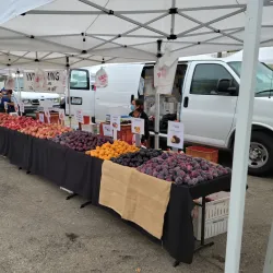 Camarillo Farmers Market - Camarillo