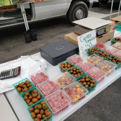 Camarillo Farmers Market - Camarillo