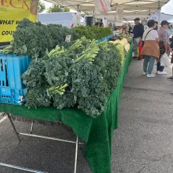Camarillo Farmers Market - Camarillo