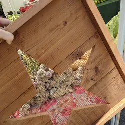 Camarillo Farmers Market - Camarillo