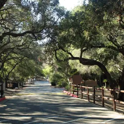 Camarillo Grove Park - Camarillo