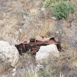 Camarillo Grove Park - Camarillo