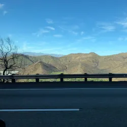 Camarillo Grove Park - Camarillo