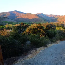 Camarillo Grove Park - Camarillo