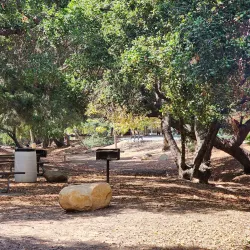 Camarillo Grove Park - Camarillo