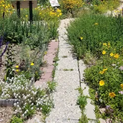 Pleasant Valley Historical Society Museum - Camarillo