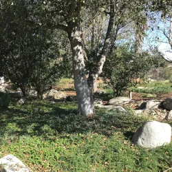 Pleasant Valley Historical Society Museum - Camarillo