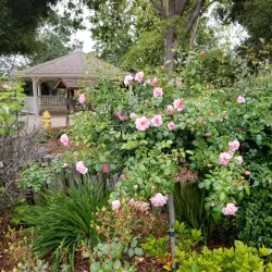 Pleasant Valley Historical Society Museum - Camarillo