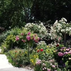 Pleasant Valley Historical Society Museum - Camarillo