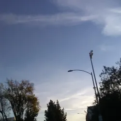 Lanark Park - Canoga Park