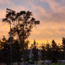 Lanark Park - Canoga Park