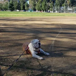 Lanark Recreation Center - Canoga Park