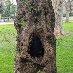 Lanark Recreation Center - Canoga Park