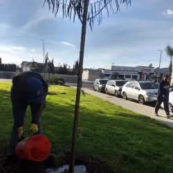 Lanark Recreation Center - Canoga Park