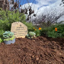 Los Angeles River Bike Path - Canoga Park