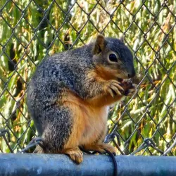 Shadow Ranch Park - Canoga Park