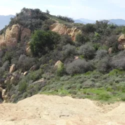 Topanga State Park - Canoga Park