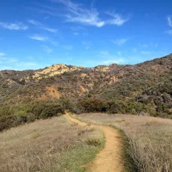 Topanga State Park - Canoga Park
