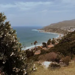 Topanga State Park - Canoga Park