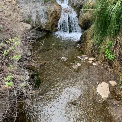 Topanga State Park - Canoga Park
