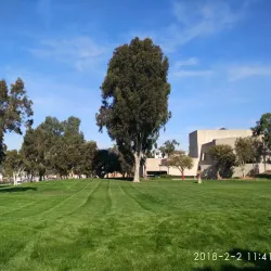 California State University, Dominguez Hills (CSUDH) - Carson