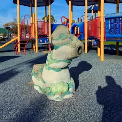 Carson Park - Carson