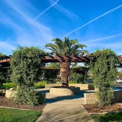 Carson Park - Carson