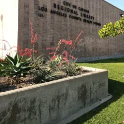 Carson Regional Library - Carson