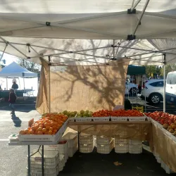 Castro Valley Farmers Market - Castro Valley
