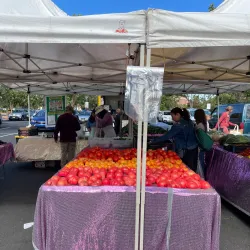 Castro Valley Farmers Market - Castro Valley
