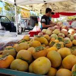 Castro Valley Farmers Market - Castro Valley