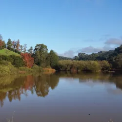 Cull Canyon Regional Recreation Area - Castro Valley