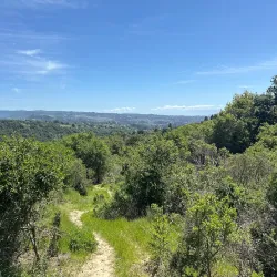 Cull Canyon Regional Recreation Area - Castro Valley